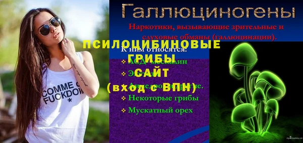 тгк Аркадак