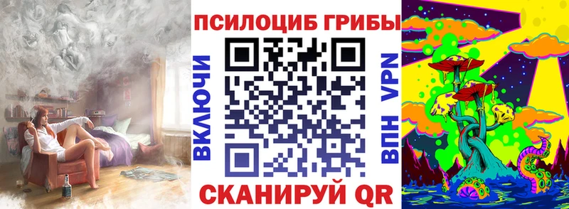 Псилоцибиновые грибы GOLDEN TEACHER Чкаловск