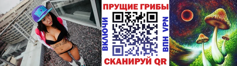 Галлюциногенные грибы Psilocybe  цена наркотик  Чкаловск 